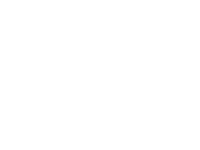 AA Color Logo